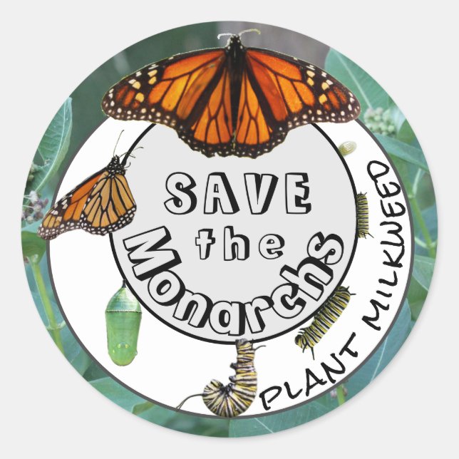 Sticker Rond Plante du cycle de vie des monarques Milkweed (Devant)