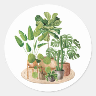 Sticker Rond Plantes d'intérieur à l'aquarelle