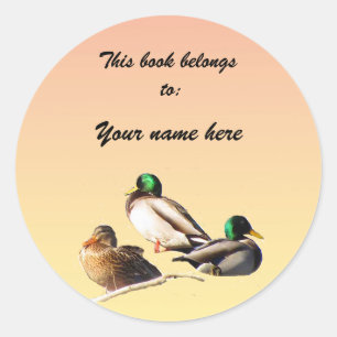 Sticker Rond Plaque de livres Mallard Ducks