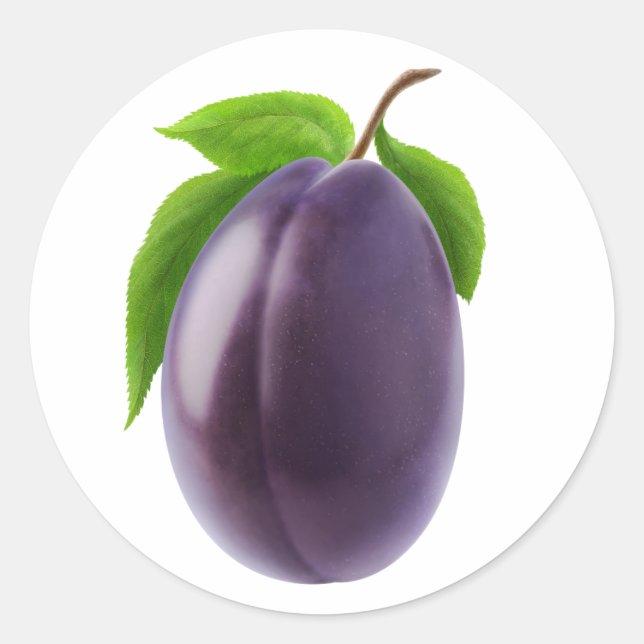 Sticker Rond Plum bleu (Devant)