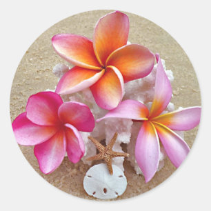 Sticker Rond Plumeria sur les coquillages sur la plage