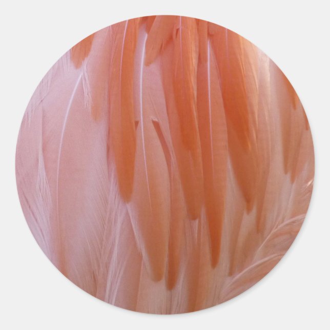 Sticker Rond Plumes de Flamant rose dans les tons roses (Devant)