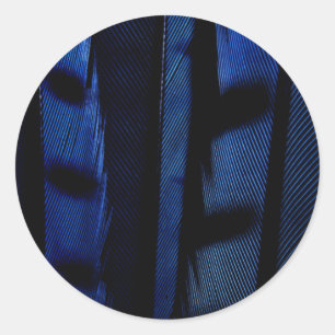 Sticker Rond Plumes de geai bleu