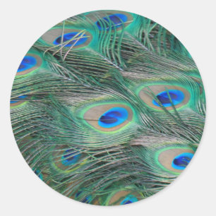 Sticker Rond Plumes de paon