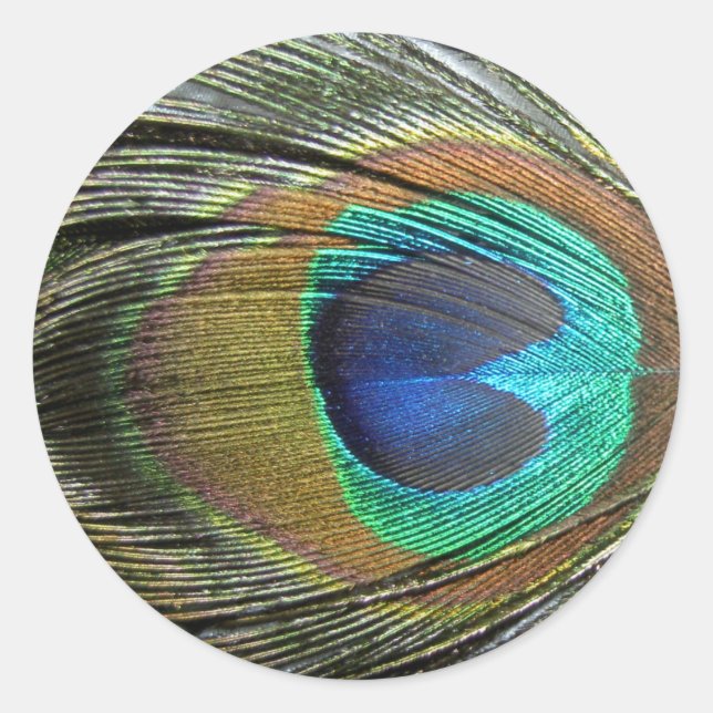 Sticker Rond Plumes de paon (Devant)