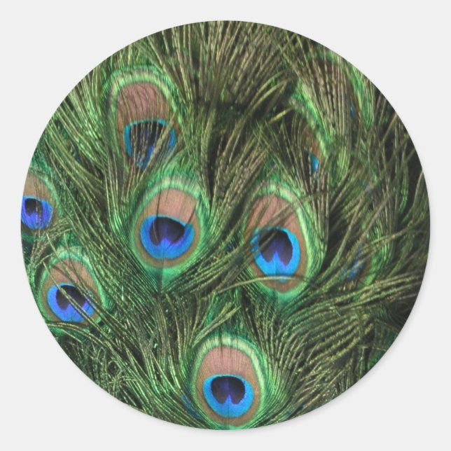Sticker Rond Plumes de paon (Devant)