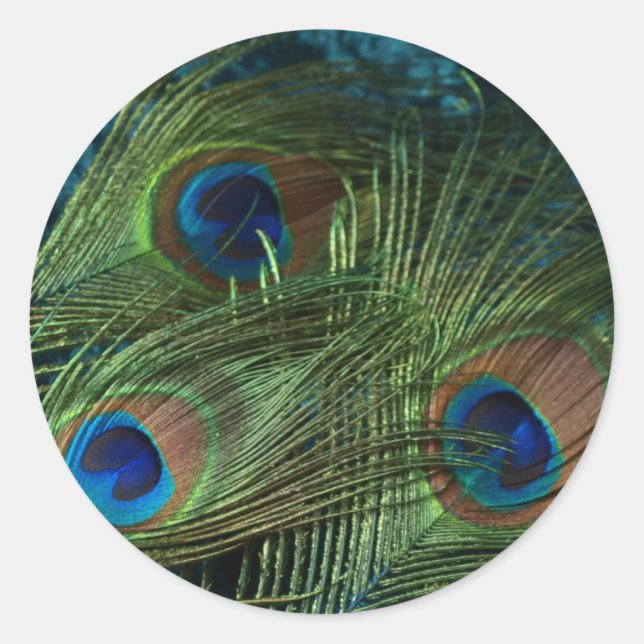 Sticker Rond Plumes de paon vert (Devant)