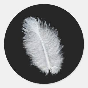 Sticker Rond Plumes d'oiseau blanc