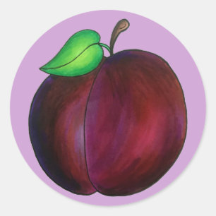 Sticker Rond Plums mûrs Été Purple Plum Illustration