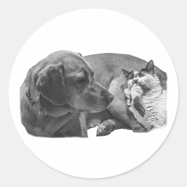 Sticker Rond Poches—Gazon doux (Devant)