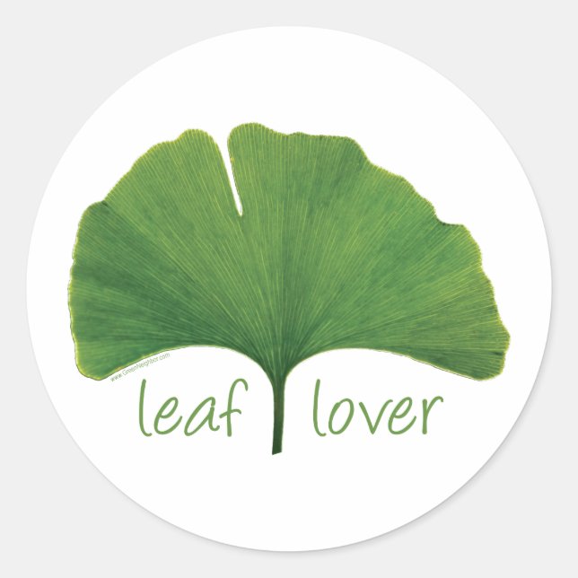 Sticker Rond Poignard d'arbre, Louveur de feuilles - Ginkgo (Devant)