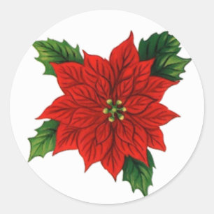 Sticker Rond Poinsettia