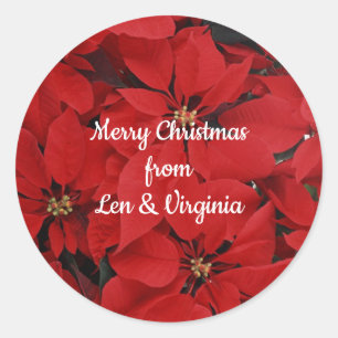 Sticker Rond Poinsettias pour Noël, prêt à customiser