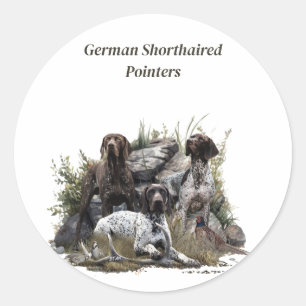 Sticker Rond Pointeur à cheveux courts allemand ou Deutsch Kurz