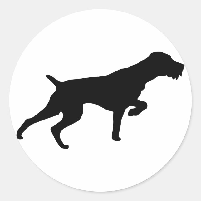Sticker Rond Pointeur À poils durs allemand (Devant)