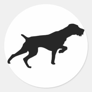 Sticker Rond Pointeur À poils durs allemand