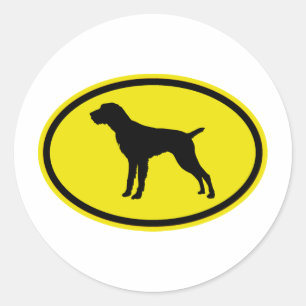 Sticker Rond Pointeur À poils durs allemand