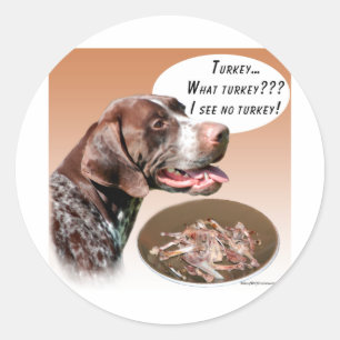 Sticker Rond Pointeur court allemand Turquie