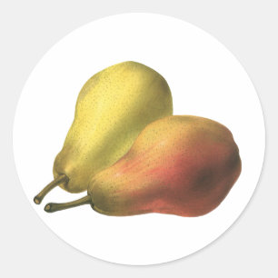 Sticker Rond Poires Vintage, Aliments Biologiques, Fruits Mûrs