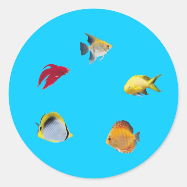 Sticker Rond Poisson (Devant)