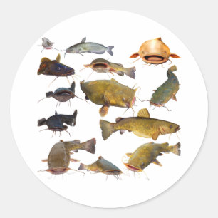 Sticker Rond Poisson-chat de pêche