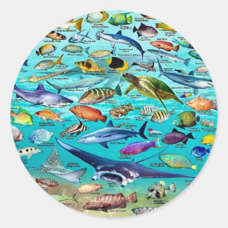 Sticker Rond Poisson & Plus de Poisson