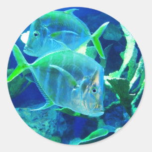 Sticker Rond Poisson tropical en Turquoise et Chartreuse