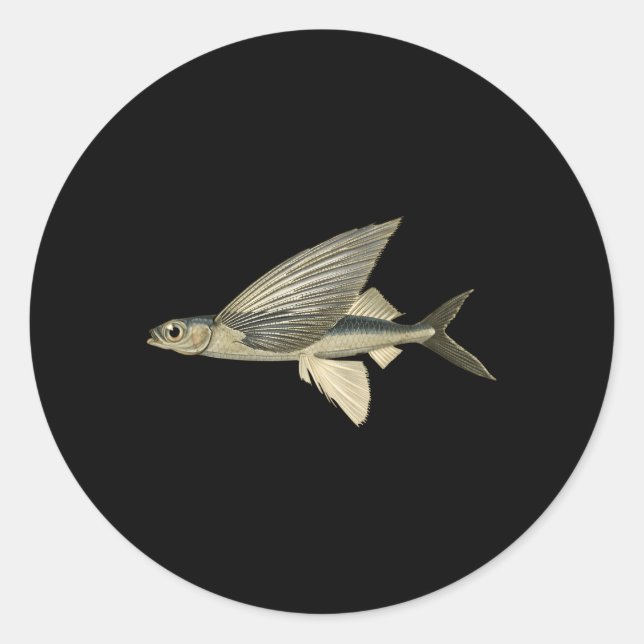 Sticker Rond Poisson volant (Devant)