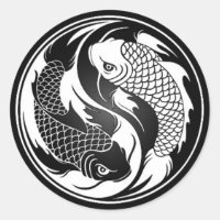 Poisson Yin Yang Koi blanc et noir