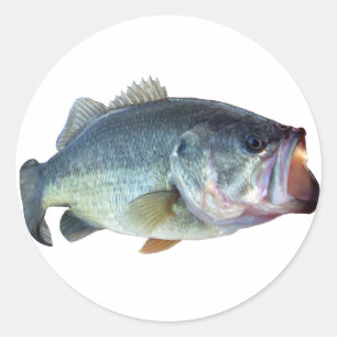 Sticker Rond Poissons bas