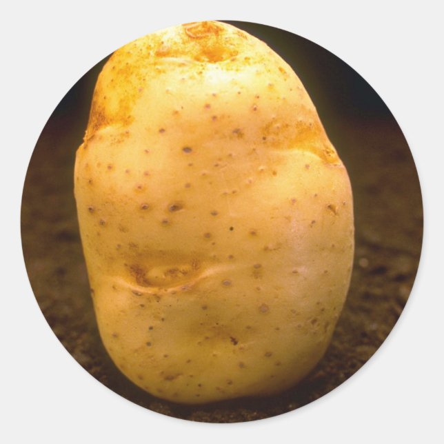 Sticker Rond Pomme de terre sur terre (Devant)