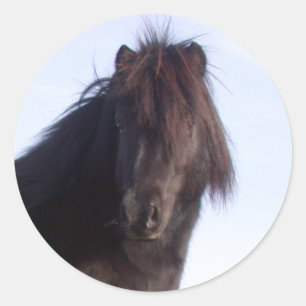 Sticker Rond Poney