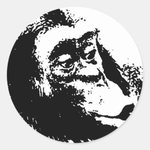 Sticker Rond Pop Art drôle Chimpanzé