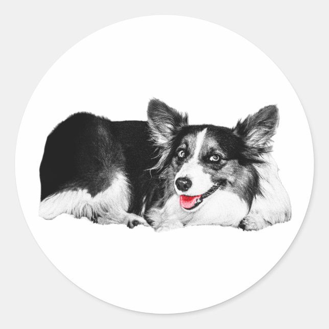 Sticker Rond Pop of Red, Pocket of Joy (Devant)