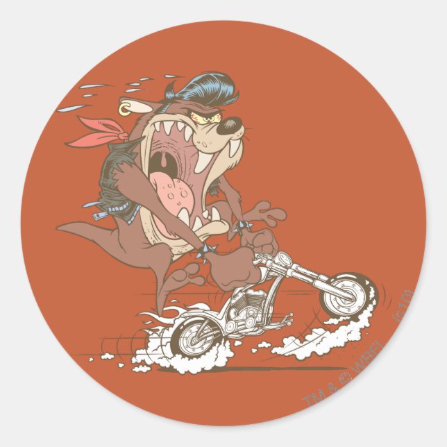 Sticker Rond Porc à fente TAZ™ (Devant)