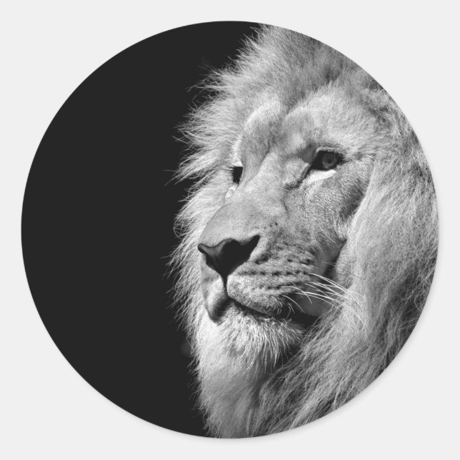 Sticker Rond Portrait de Lion noir blanc - Photographie d'anima (Devant)