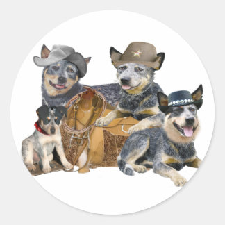 Sticker Rond Portrait occidental du chien de bétail australien