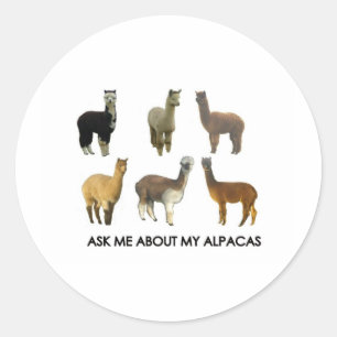 Sticker Rond Posez-moi des questions sur mes alpacas