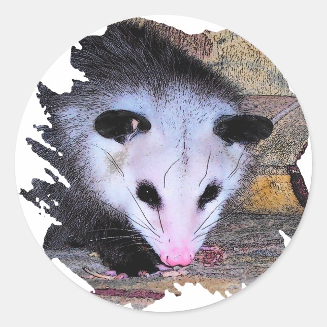 Sticker Rond Possum Opossum (Devant)