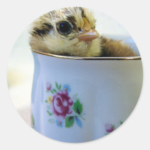 Sticker Rond Poule aux oeufs de Pâques en coupe