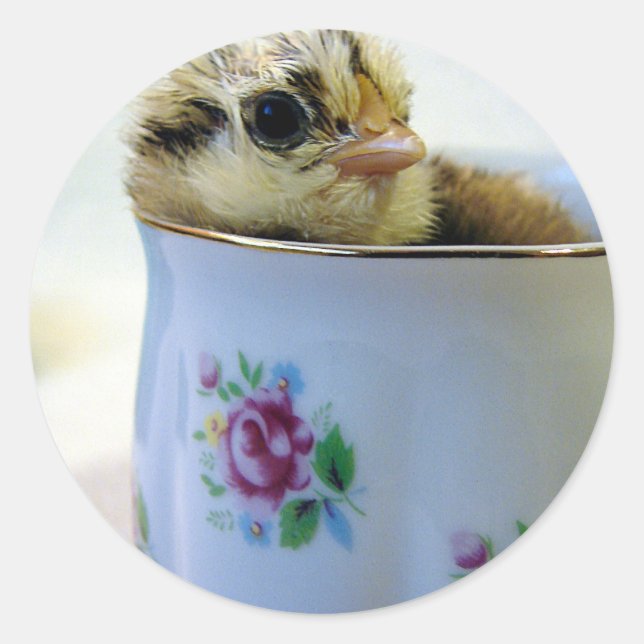 Sticker Rond Poule aux oeufs de Pâques en coupe (Devant)