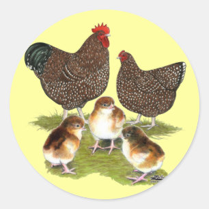 Sticker Rond Poule de la famille Jubilé d'Orpington