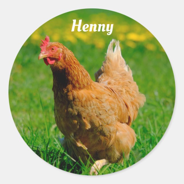Sticker Rond Poulet Brown personnalisé dans l'herbe (Devant)