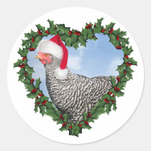 Sticker Rond Poulet de Noël * Barred Rock