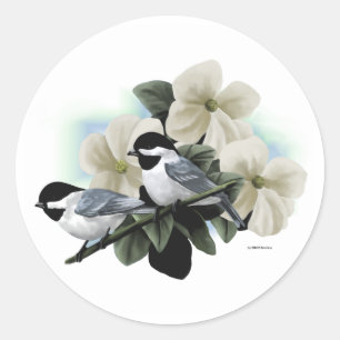 Sticker Rond Poulet noir