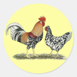 Sticker Rond Poulets islandais