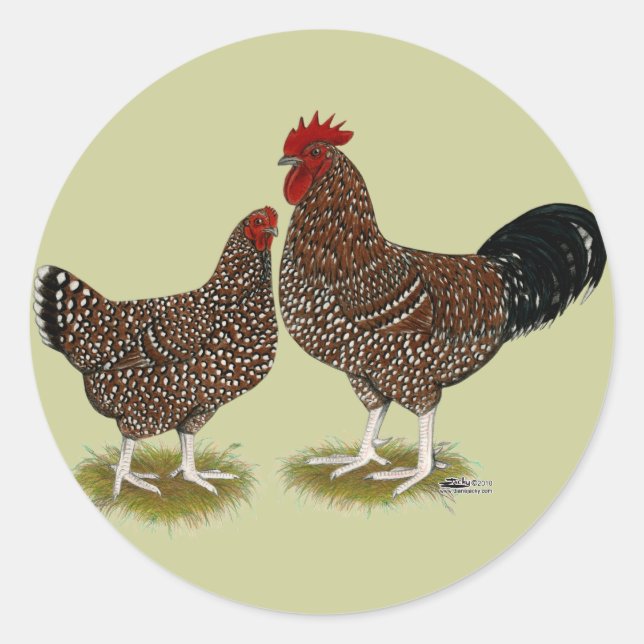 Sticker Rond Poulets Sussex Speckés (Devant)