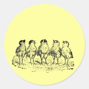 Sticker Rond poussins