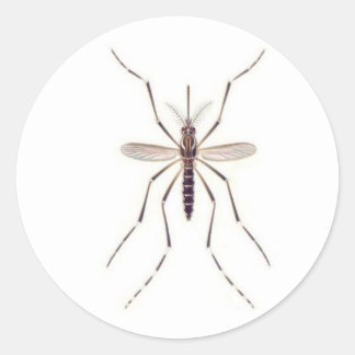 Sticker Rond POUVOIR moustique