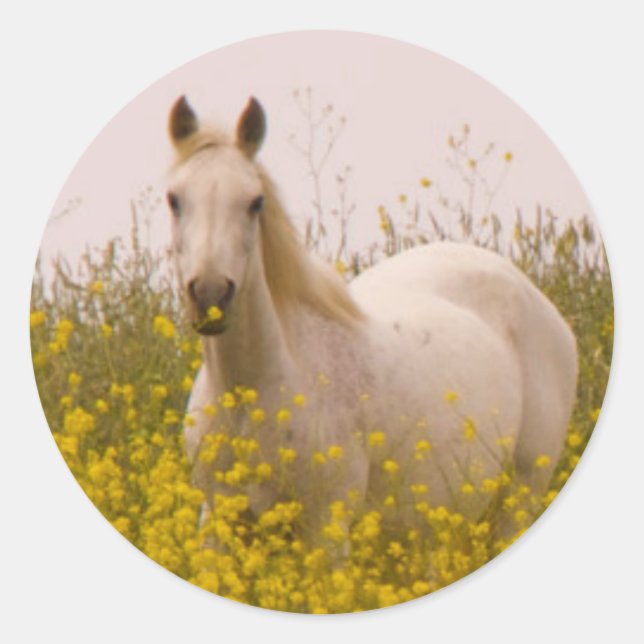 Sticker Rond Printemps (Devant)